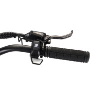 TEVERUN Blade Mini Pro DGT 1000W 20.8Ah elektrinis paspirtukas