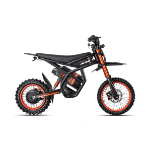 Riding Times GT54 2000W 48V 27Ah elektrinis mini motociklas