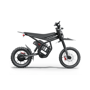 Riding Times GT54 PRO 3000W 60V 25Ah elektrinis mini motociklas