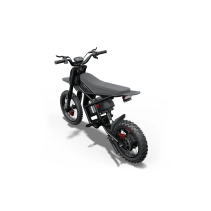 Riding Times GT54 PRO 3000W 60V 25Ah elektrinis mini motociklas