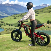Hidoes B6 1200W 15.6Ah elektrinis dviratis