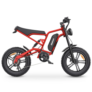 Hidoes B6 1200W 15.6Ah elektrinis dviratis