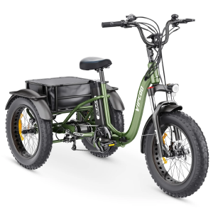 VIPCOO ET1 750W 20Ah elektrinis triratis