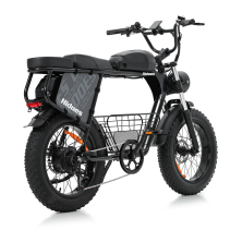 Hidoes B9 750W 33.8Ah elektrinis dviratis
