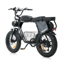 Hidoes B9 750W 33.8Ah elektrinis dviratis