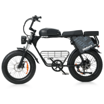 Hidoes B9 750W 33.8Ah elektrinis dviratis