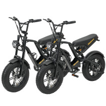 Hidoes B6 Mini 500W 10.4Ah elektrinis dviratis
