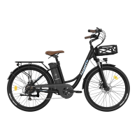 FAFREES F26 Lasting 250W 20.3Ah elektrinis dviratis