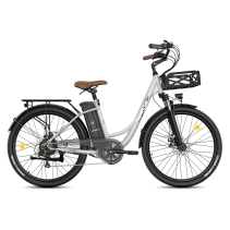 FAFREES F26 Lasting 250W 20.3Ah elektrinis dviratis