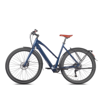 Fafrees F700W 250W 10Ah elektrinis dviratis