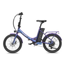 Fafrees F20 Lasting 250W 18.2Ah sulankstomas elektrinis dviratis
