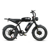 Fat Bike elektriniai dviračiai